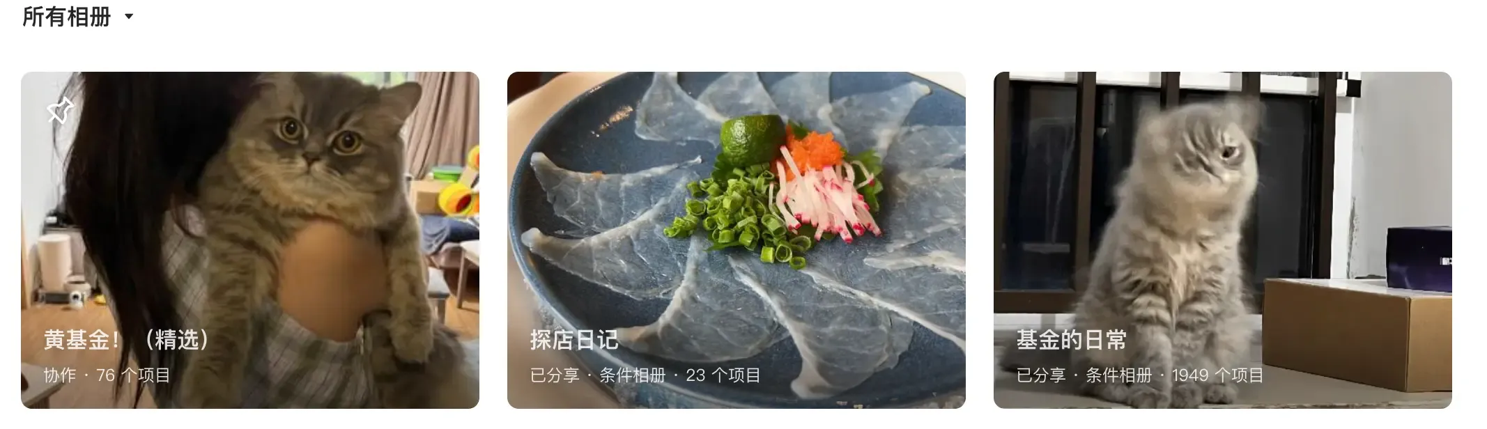 相册